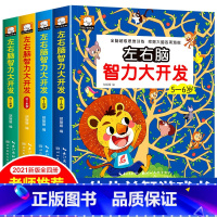 左右脑智力大开发(2-6岁)全套4册 [正版]全4册左右脑智力大开发2-3-4-5-6岁幼儿益智书思维训练专注力练习册走
