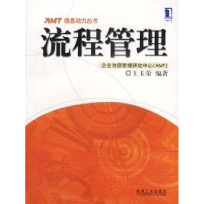 正版新书]AMT信息动力丛书:流程管理王玉荣9787111101055