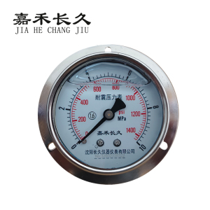 嘉禾长久 耐震压力表轴向带边检测型 YTN100ZT 块