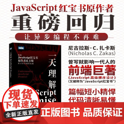 一天理解JavaScript Promise 前端开发JavaScript异步编程计算机编程语言程序设计书籍