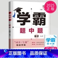数学 九年级全一册 浙教版 九年级/初中三年级 [正版]2025学霸题中题九年级下册上册数学物理英语化学苏科版译林版苏教