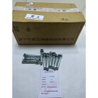 碧云 膨胀螺栓 12mm 个