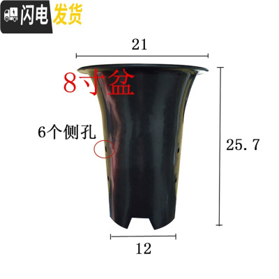 三维工匠园艺兰花盆塑料大中小号透气黑色带孔国兰君子兰墨兰花专用盆 8寸 同规格5个(送网套)花盆容器