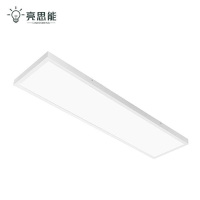 亮思能 LED平板灯 明装平板灯 面板灯 LSN-PBY 300*1200mm 个