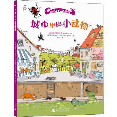 走进奇妙的大自然:城市里的小动物