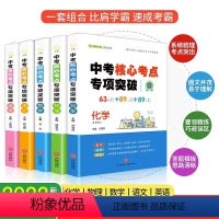 [语数英物化]中考核心考点 全5册 [正版]迎战中考JST中考核心考点专项突破语文数学英语物理化学基础知识总复习题型归纳