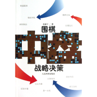音像围棋中盘战略决策吴新宇
