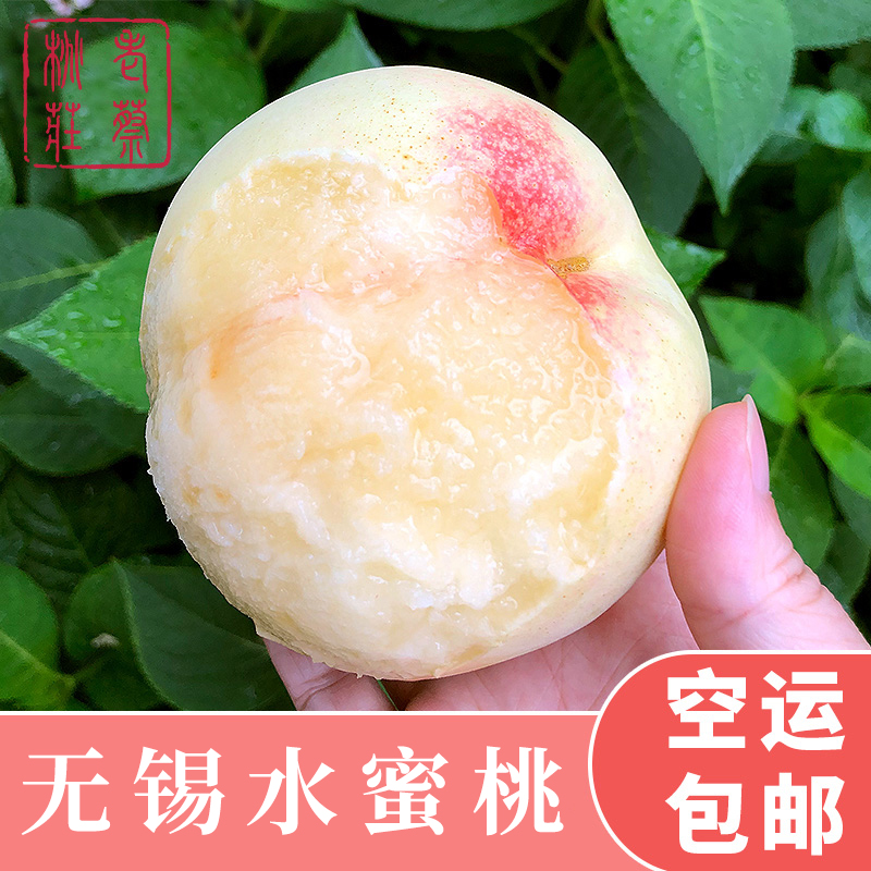 [空运发货]正宗江苏无锡阳山镇水蜜桃 单果 7两 左右8只 可撕皮滴水软桃 新鲜水果 桃子孕妇儿童可食用