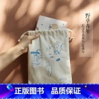 朝花夕拾护书袋 [正版]系列实付99赠礼盒后浪 鲁迅野草青年文创 野草/朝花夕拾护书袋任选 帆布护书包 觉醒年代五四青年