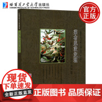 正版 莱布尼茨定理:微分几何中的包络问题 哈工大 刘培杰数学工作室 数学中的小问题大定理第七辑 哈尔滨工业大学出版社