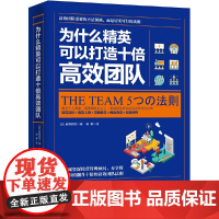 为什么精英可以打造十倍高效团队(日本年度企业团购热门图书) 麻野耕司 湖南文艺出版社 正版书籍
