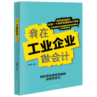 音像我在工业企业做会计刘晓斌