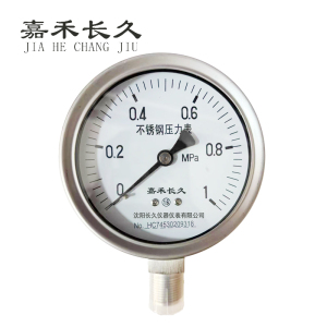 嘉禾长久 不锈钢耐温压力表检测型 Y100BF 块
