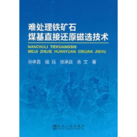 音像难处理铁矿石煤基直接还原磁选技术孙体昌[等]著