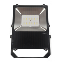 宝富睿光电 BFL3090-100 220V 100W IP66 LED泛光灯 (计量单位:个) 黑色