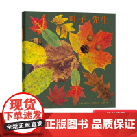 叶子先生精装绘本图画书只有捡起落叶才算打开秋天凯迪克奖得主适合3岁以上爱心树正版童书