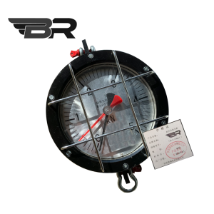 BR/拉力计拉力表/(LK-5(50kn))/台