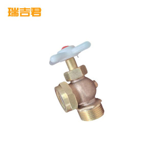 瑞吉君 考克 DN20 对