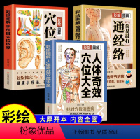[正版]全3册人体奇效穴位大全+手足耳穴位按摩+敲打通经络 彩绘图解中医实用疗法大全全面解读按摩穴位人体经络详细步骤中