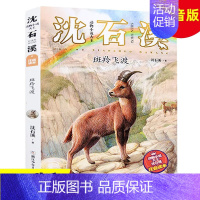 斑羚飞渡(注音版) [正版] 斑羚飞渡 动物小说大王沈石溪品藏书系狼王梦青少年课外书8-10-12-15周岁四五六年级小