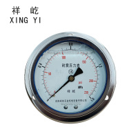 祥屹 耐震压力表轴向带边 YTN100ZT 0-1.6Mpa 块