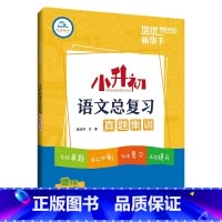 [语文]总复习 小学升初中 [正版]2025小升初语文总复习真题集训考前冲刺卷培优新帮手小学6六年级语文系统总复习知识导