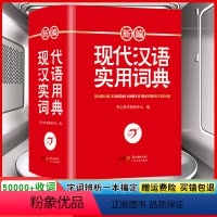 [正版]新编现代汉语实用词典人教版全国通用一二三四五六年级小学初中高中生现代汉语词典多功能字典新版字典学生实用工具书