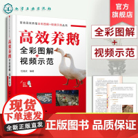 高效养鹅全彩图解 视频示范 畜禽高效养殖丛书 鹅的饲养管理书籍 鹅的健康养殖生产技术 鹅品种资源与利用 畜牧养殖技术人员