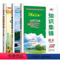 知识集锦语文+数学+英语 小学通用 [正版]2023新版培优宝典知识集锦语文数学英语升级版小学语文基础知识手册全国通用小