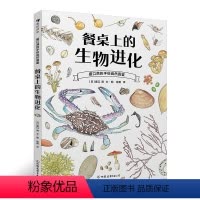 [正版]浪花朵朵童书 餐桌上的生物进化 博物学家盛口满作品 培养孩子的观察思考能力 科普生物图鉴书籍