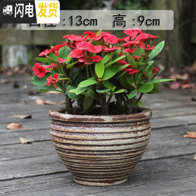 三维工匠多肉花盆大号陶瓷创意简约绿植复古粗陶陶罐植物组合盆栽透气 深卡其布色手作陶盆 大花盆容器