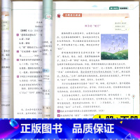[核心素养阅读训练]单本 一年级上 [正版]2025 小学语文核心素养阅读训练一年级二年级三四六五年级上册下册人教版天天