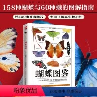 [正版]蝴蝶图鉴(全新升级版)精美蝴蝶图片生命科学蝴蝶的分类生物学基础知识世界蝴蝶名录图鉴蝴蝶品种蝴蝶爱好者工具书籍