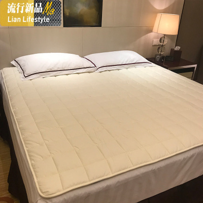 棉可水洗床褥子垫被薄款床垫床铺垫防滑软垫1.8双人家用 三维工匠