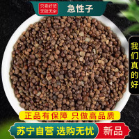 甄选急性子100克干货新货正品凤仙花子指甲花籽正品新货急性籽煮水泡茶