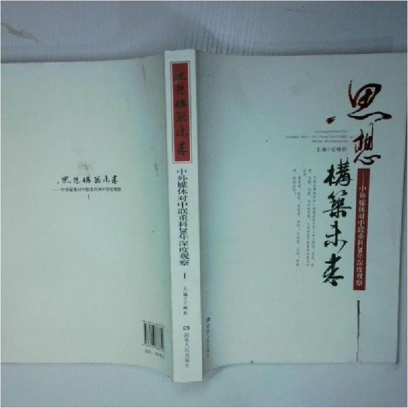 正版新书]思想构筑未来:中外媒体对中联重科20年深度观察王晓红