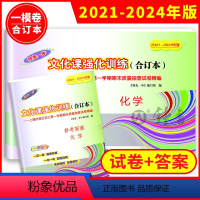 [正版]上海初三化学一模卷 2021-2024年版中考化学一模卷三年合订本 初中领先一步文化课强化训练上海市各区初三期