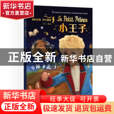 正版 小王子(书都飞走了) 宗玉 编译 中国宇航出版社 97875159168