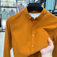秋季新款纯棉质男士纯色长袖衬衫纯色基础百搭款长袖衬衫