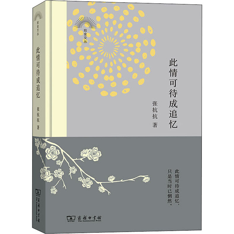 音像此情可待成追忆张抗抗