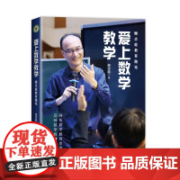 爱上数学教学(大教育书系)