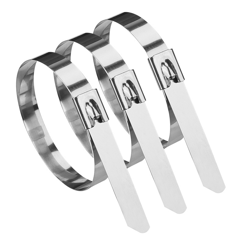 铁驰 不锈钢扎带 12*1000 /根