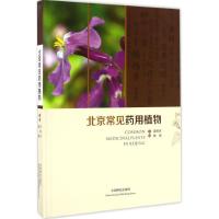正版新书]北京常见药用植物田晔林9787503883385
