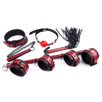 桃色缘 惩戒刑罚刺激教具六件套装钢管手脚铐sp鞭子项圈口塞 sm情趣用品男女用器具另类调教成人性玩具 手脚铐钢管颈铐口塞