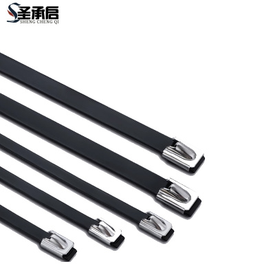 圣承启 金属扎带 7.9*600根