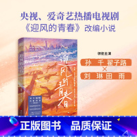 迎风的青春 [正版]迎风的青春 孙千、翟子路、刘琳、田雨主演同名电视剧原著 中国版《请回答1988》怀揣梦想的少年 ×