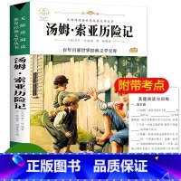[正版]百年百部经典世界名著汤姆索亚历险记无障碍阅读/名师导读/精装勒口 四五六年级必读课外书初中小学生课外阅读书籍畅