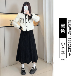 金丝绒半身裙女春秋2026新款高腰a字灰色百褶裙长裙小个子蛋糕裙