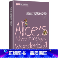 22.8 [正版]爱丽丝漫游奇境 中小学生无障碍阅读 余秋雨寄语 青少年外国文学成长书籍 世界名著