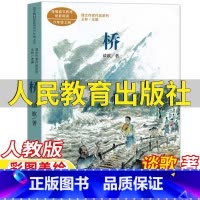 桥 [正版]桥谈歌著人民教育出版社王林主编课内作家作品六年级上册必读人教版语文同步阅读